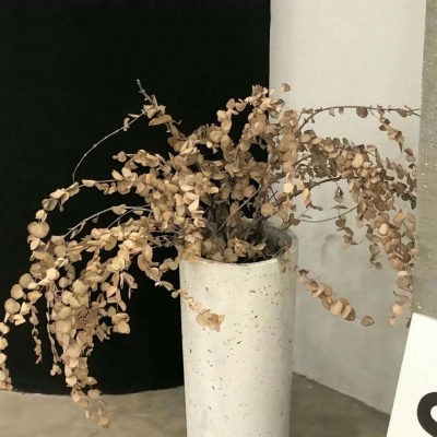 贵阳福瑞交流群